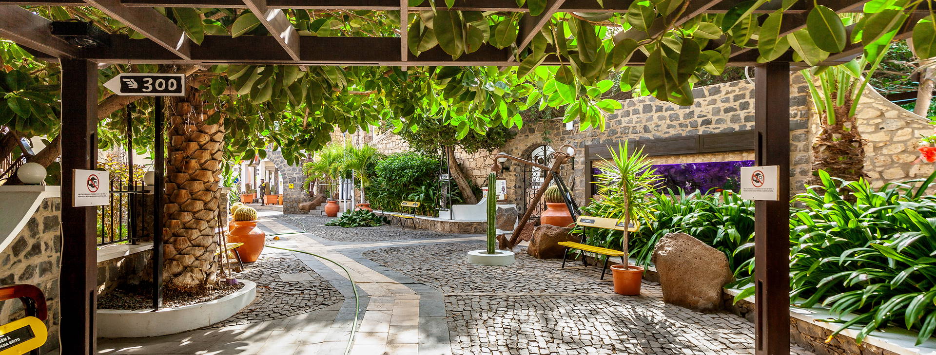 Odjo d'Agua  Obrázok13