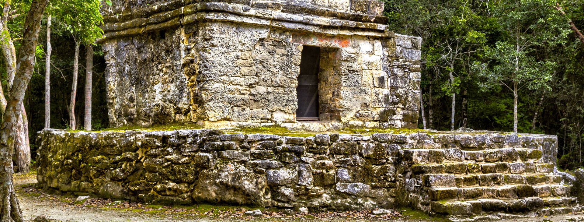 ubytování KNC (Norwegian Prima) Obrázok10