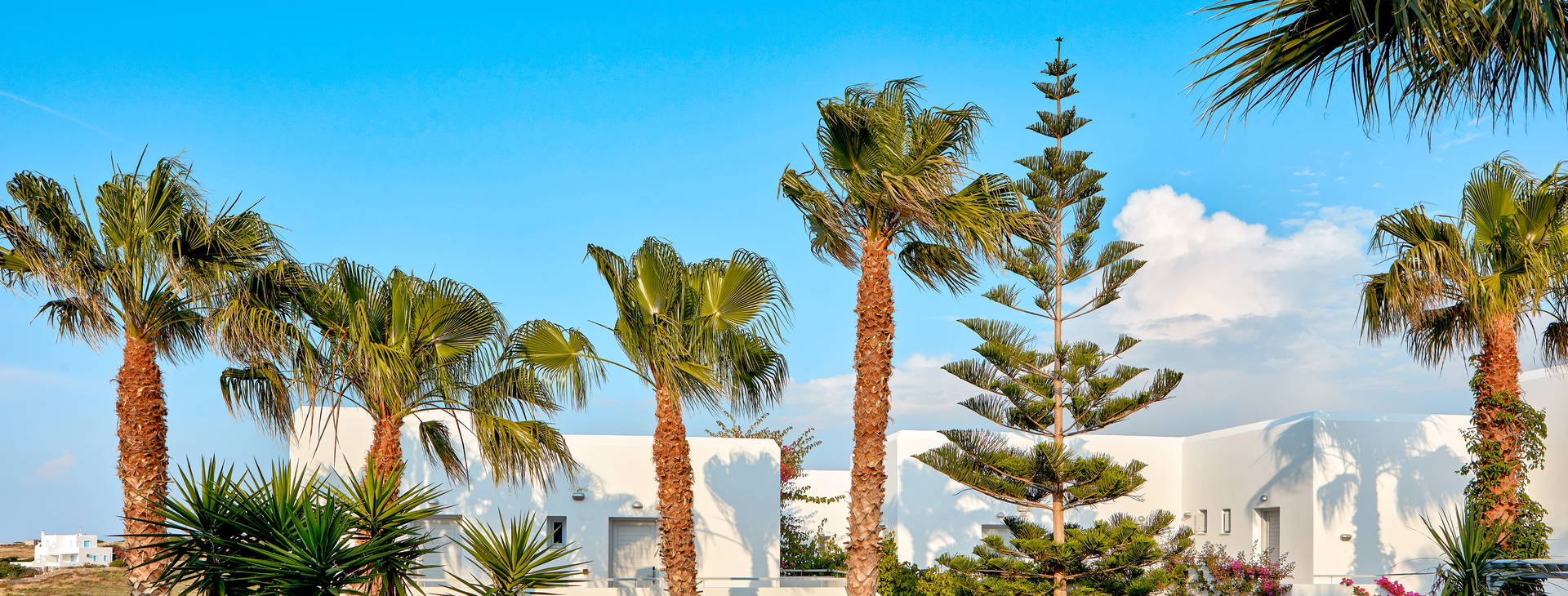 Mr & Mrs White Hotel Obrázok2