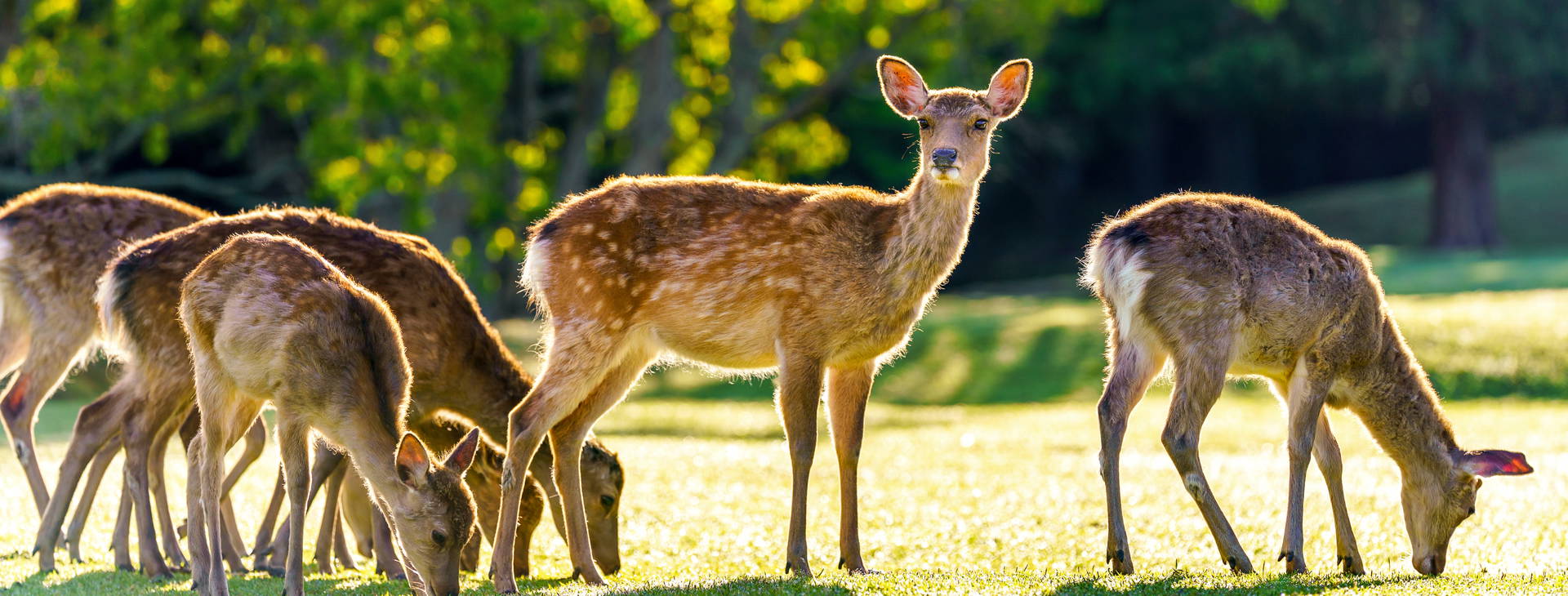 Ubytování JPO Obrázok19