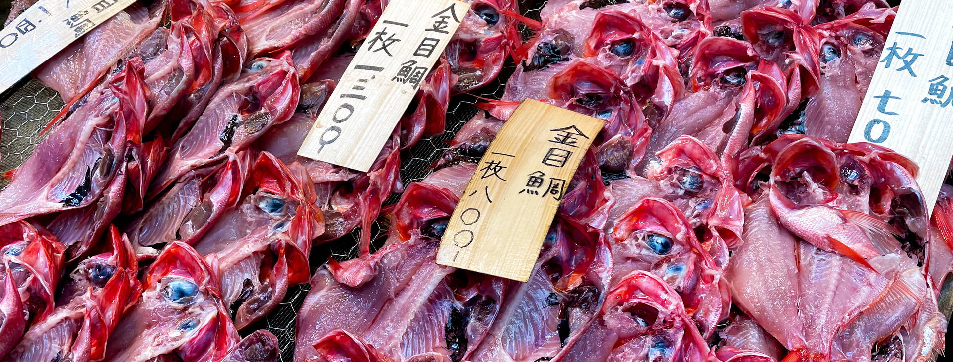 Ubytování JPO Obrázok37