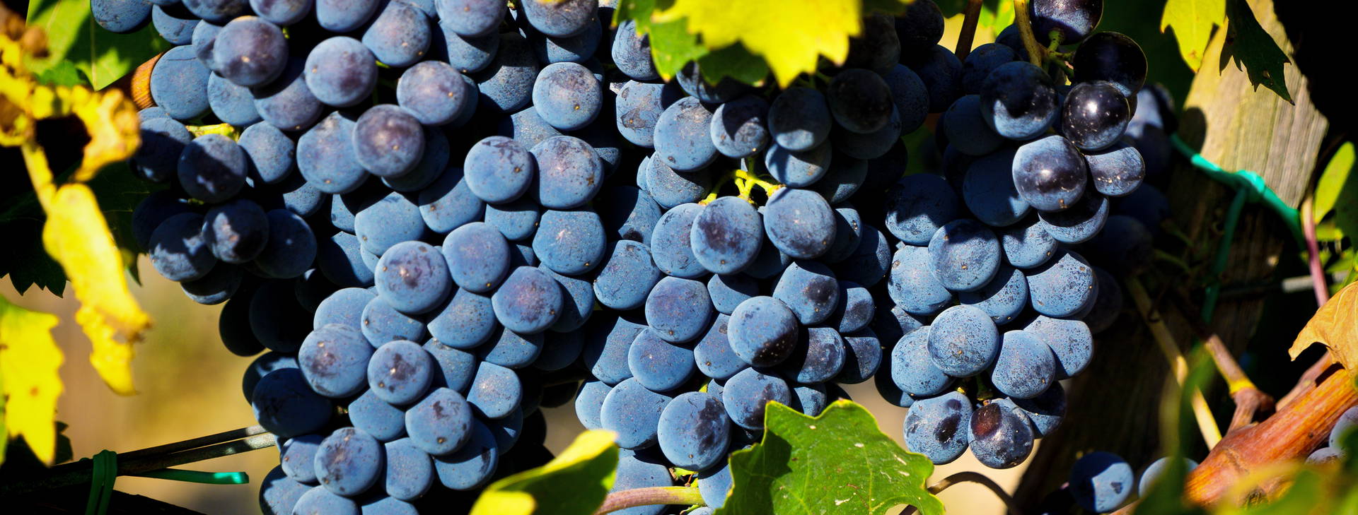 Ubytování WTN - Léto Obrázok5