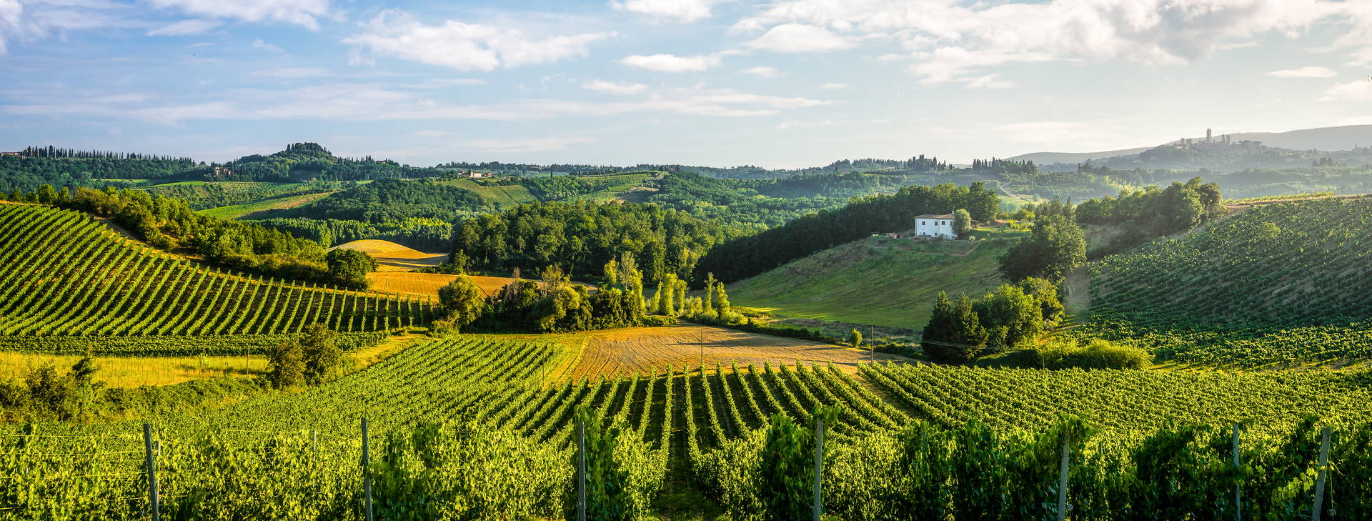 Ubytování WTN - Léto Obrázok22
