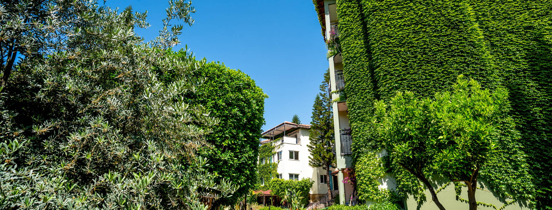 Gardenia Beach Hotel Obrázok40