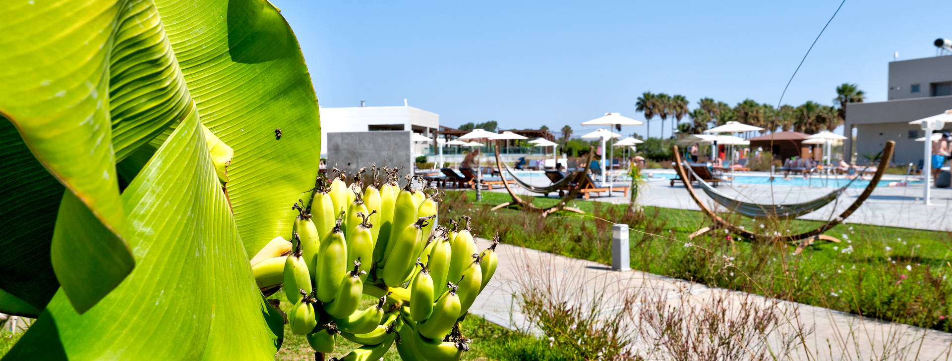 Lambi Resort Obrázok30