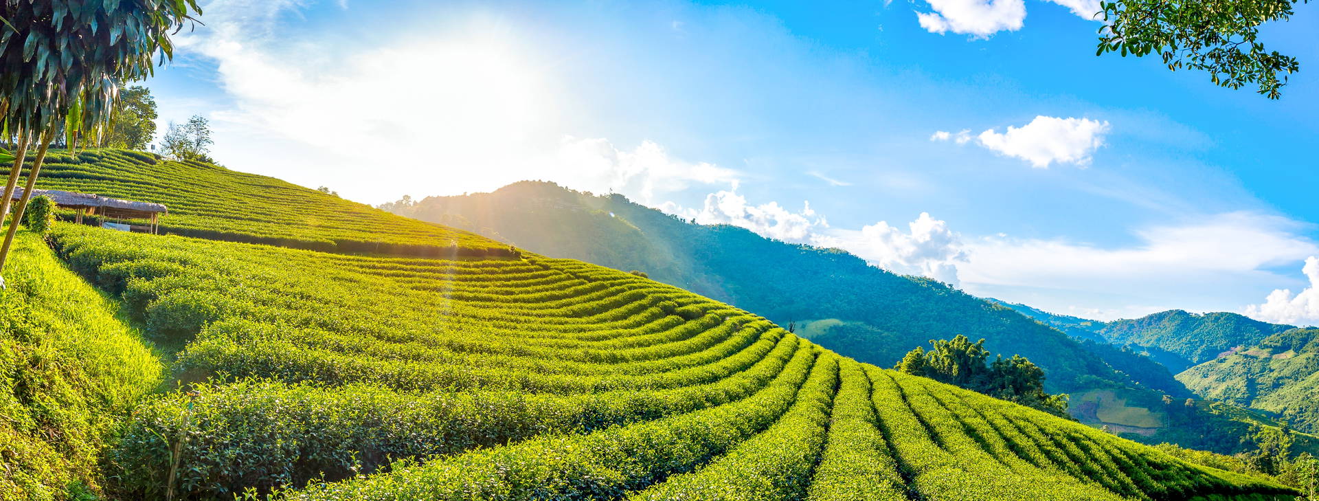 Ubytování TAX Obrázok3