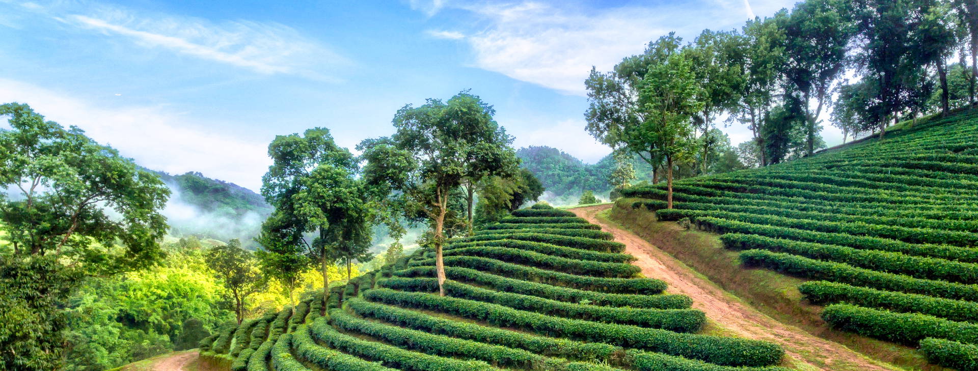 Ubytování TAX Obrázok10