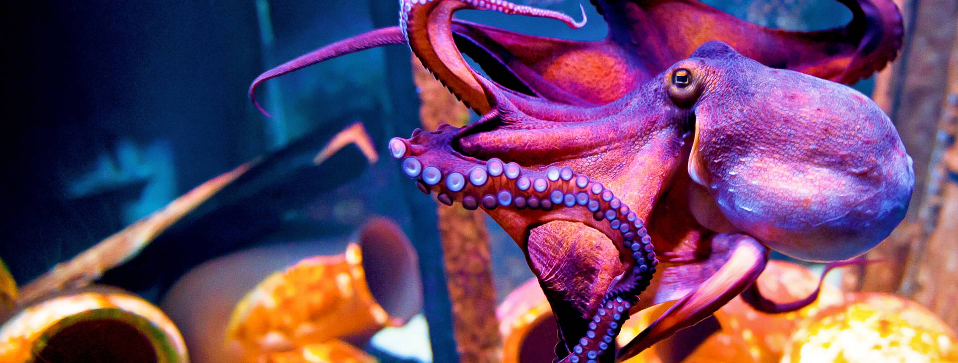 Ubytování DDC Obrázok6