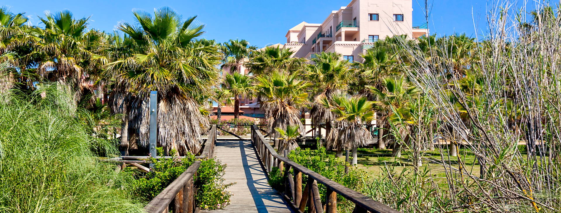 Playacanela Obrázok45