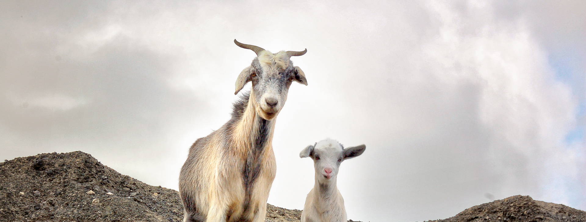 Ubytování FAL Obrázok2