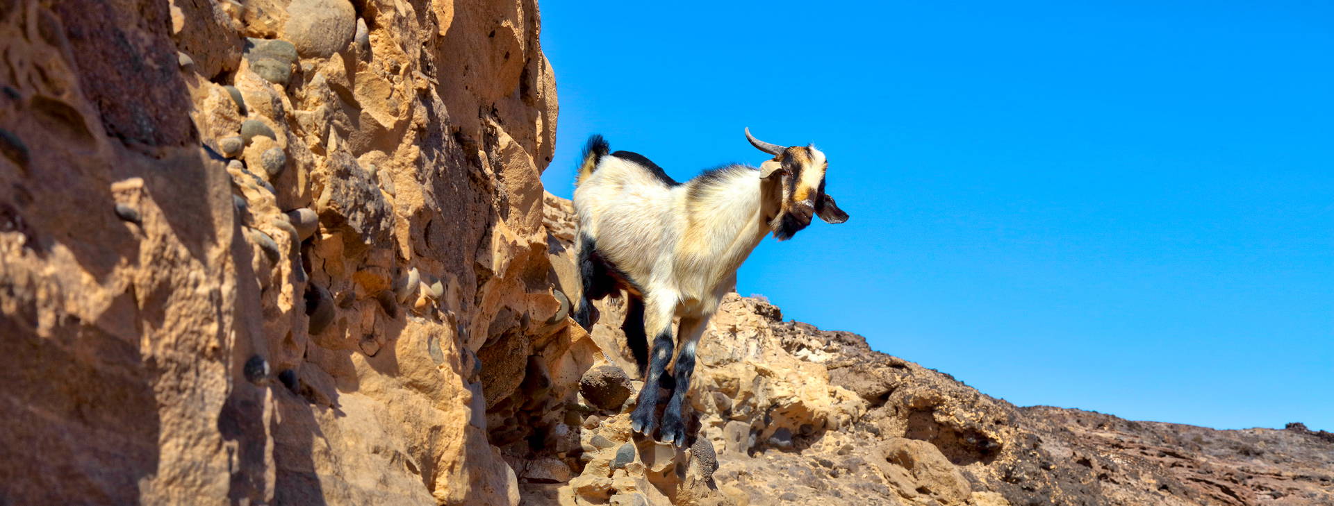 Ubytování FAL Obrázok4