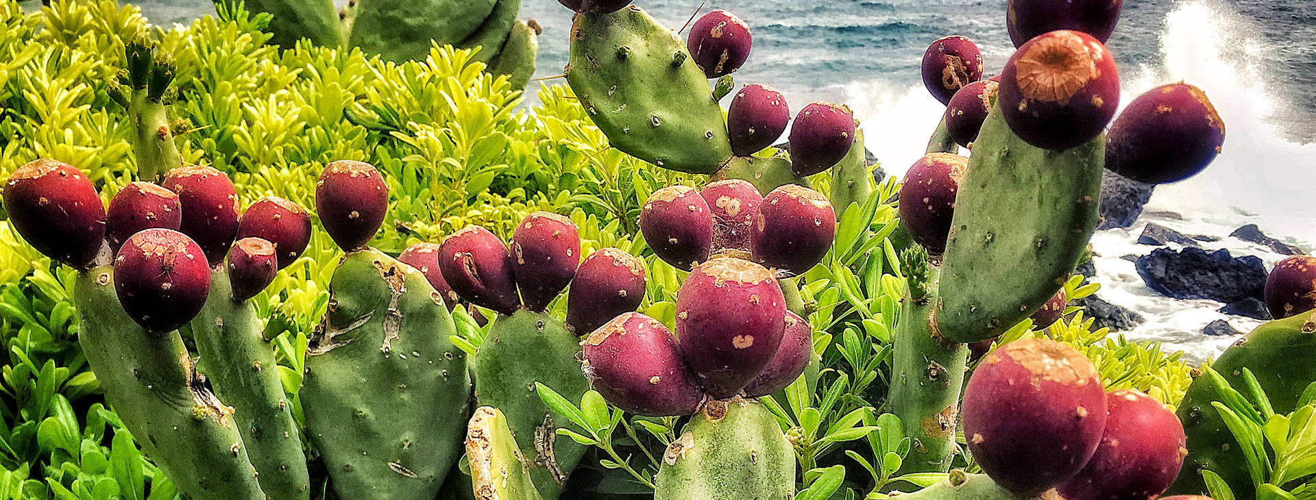 Ubytování FAL Obrázok7