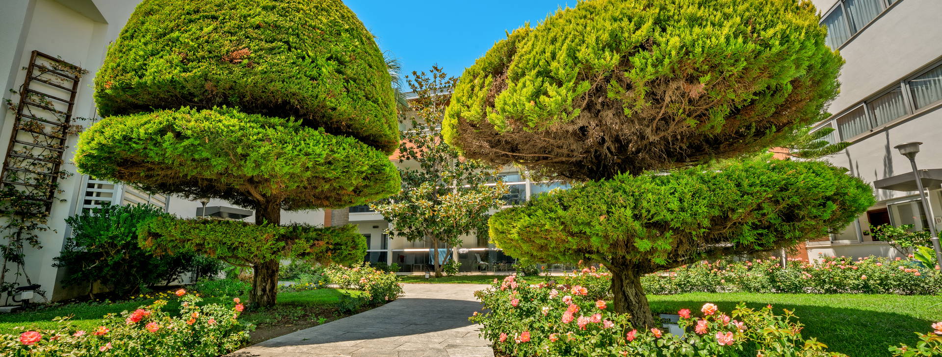 Palm Wings Kusadasi Obrázok13