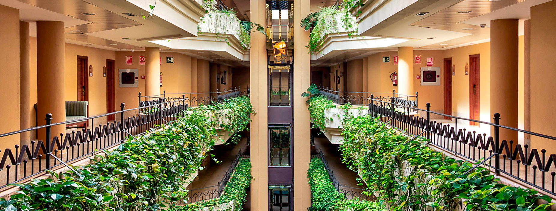 Playacanela Obrázok43