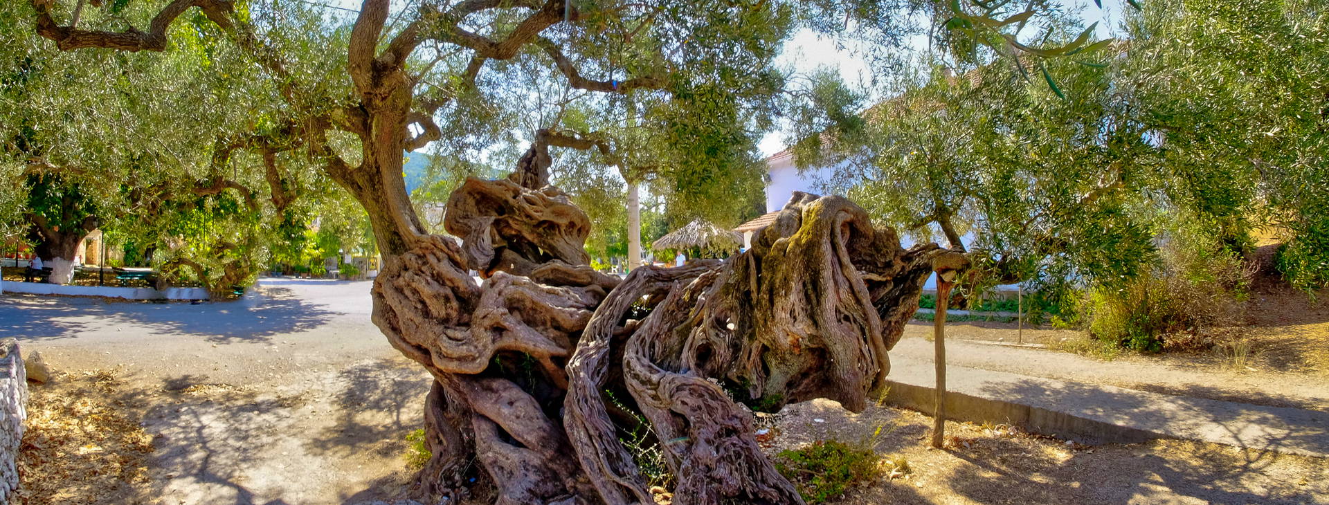 Ubytování GRF Obrázok3