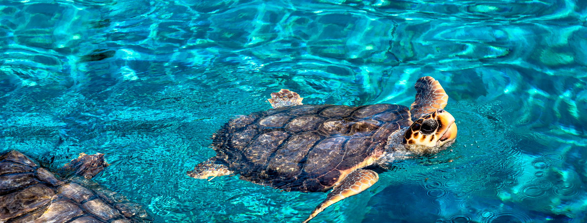 Ubytování GRF Obrázok9