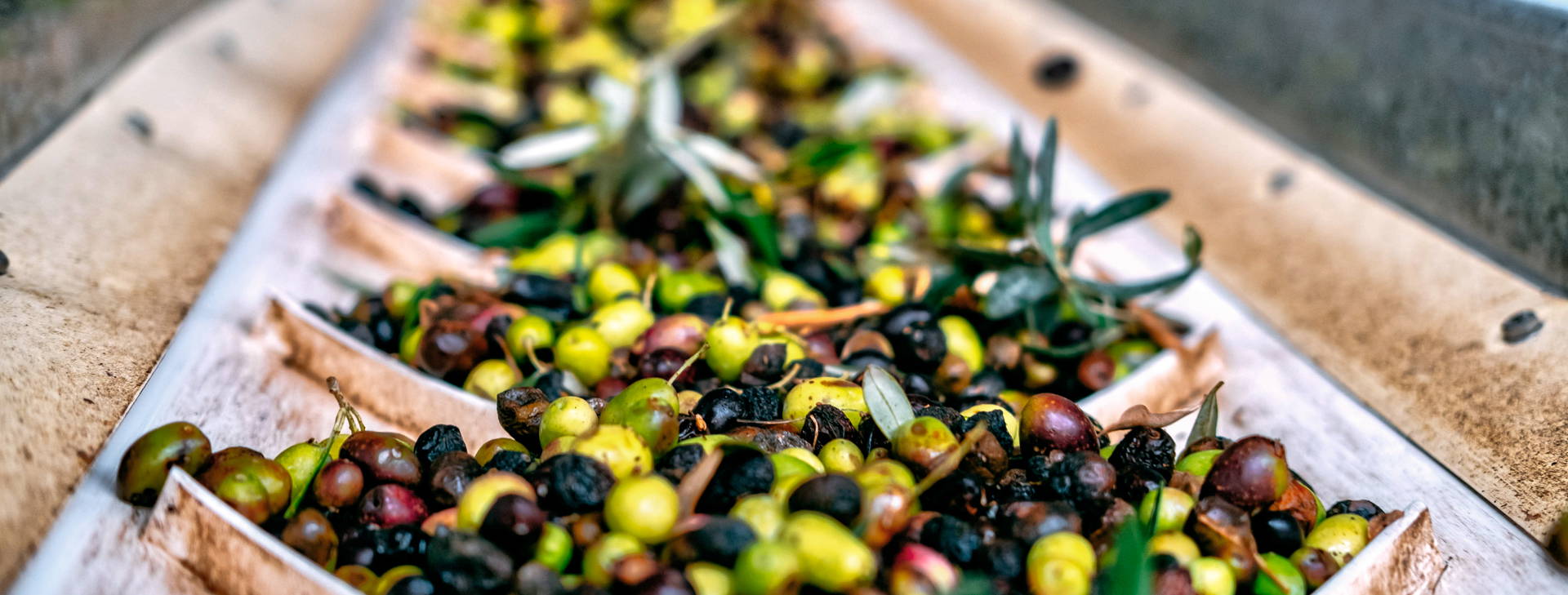 Ubytování GRF Obrázok13