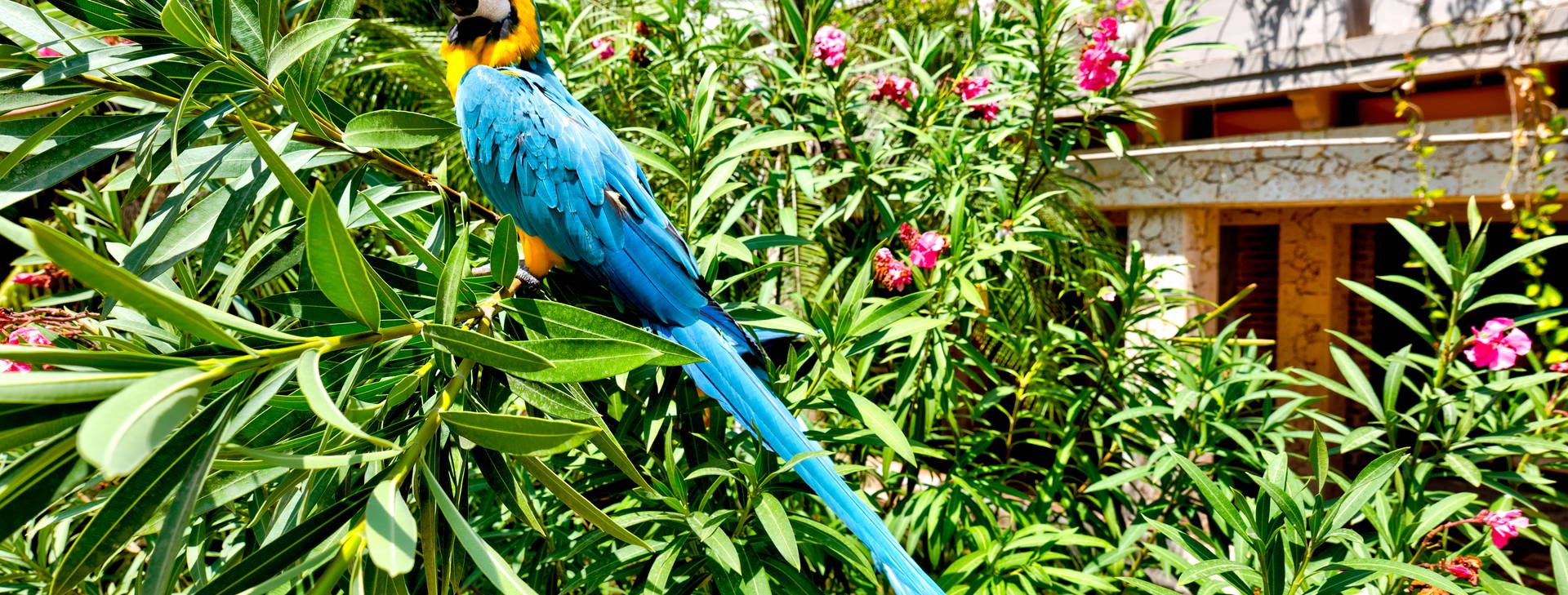 Caribe By Faranda Grand Hotel Obrázok18