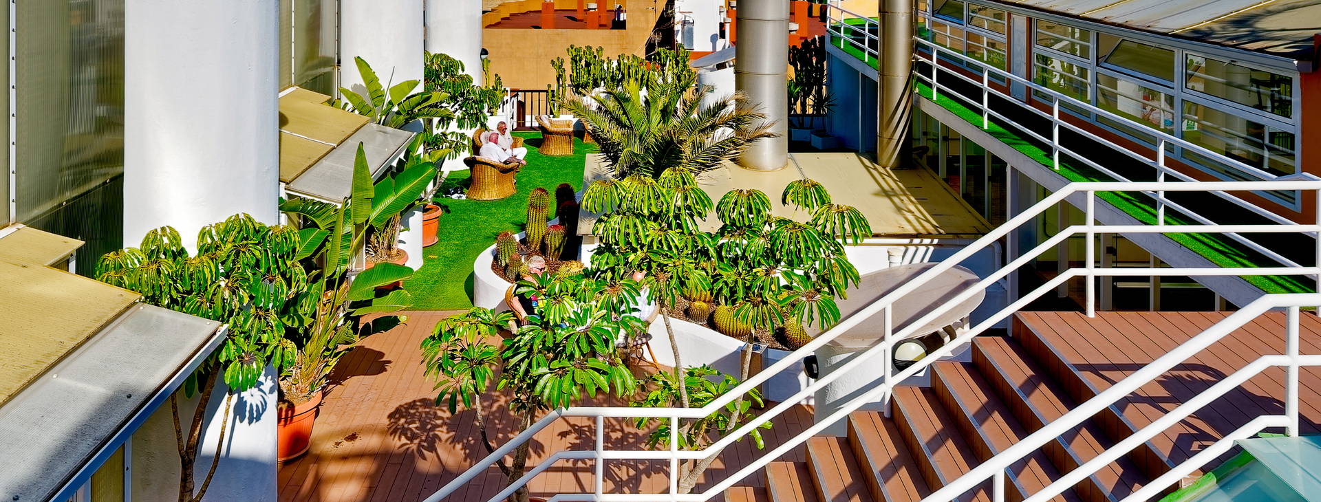 Bull Astoria Obrázok4