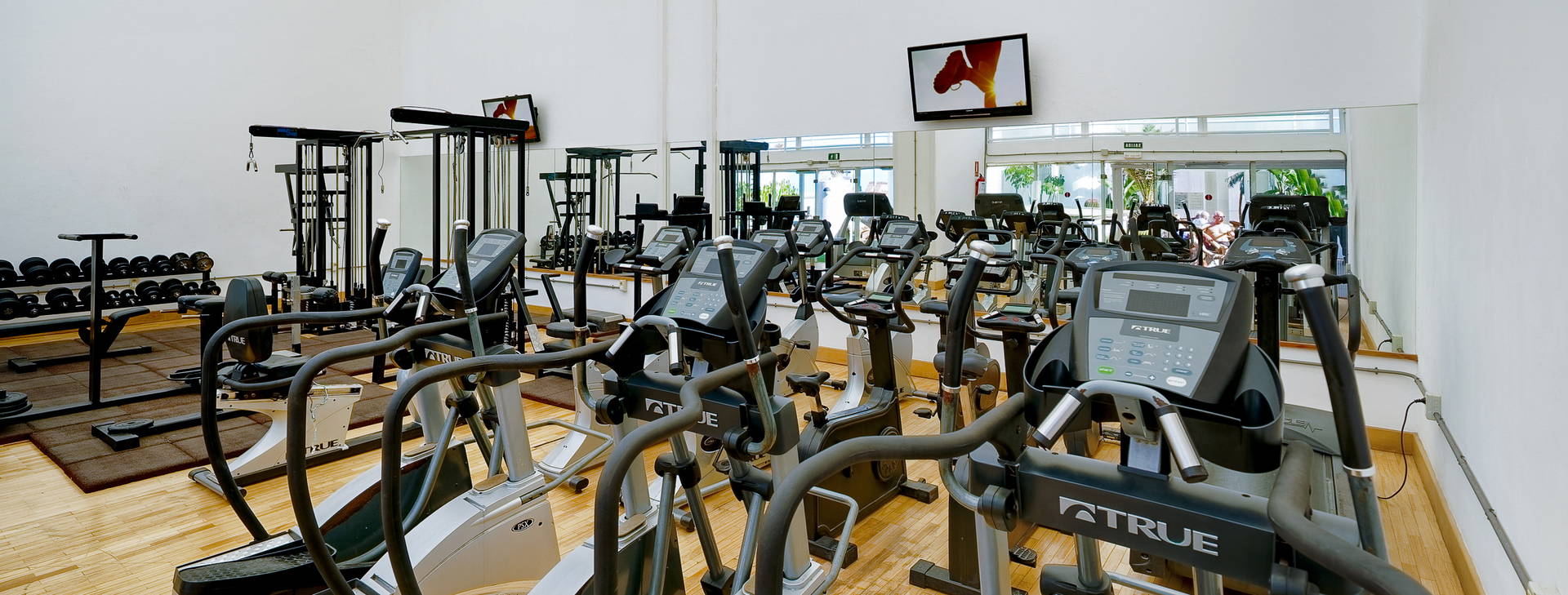 Bull Astoria Obrázok25