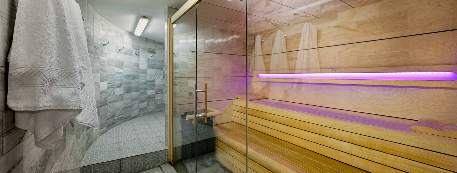 Bull Astoria Obrázok23