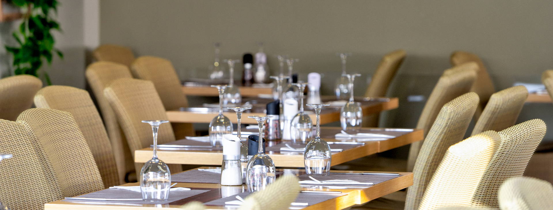 Flegra Palace Obrázok18