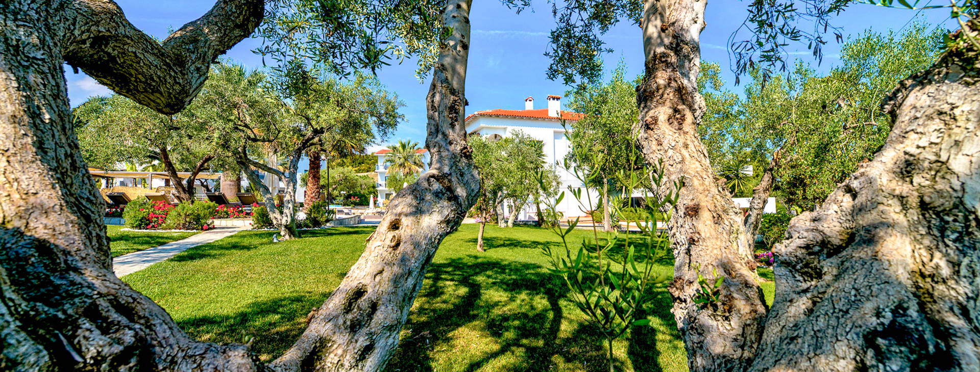 Flegra Palace Obrázok6