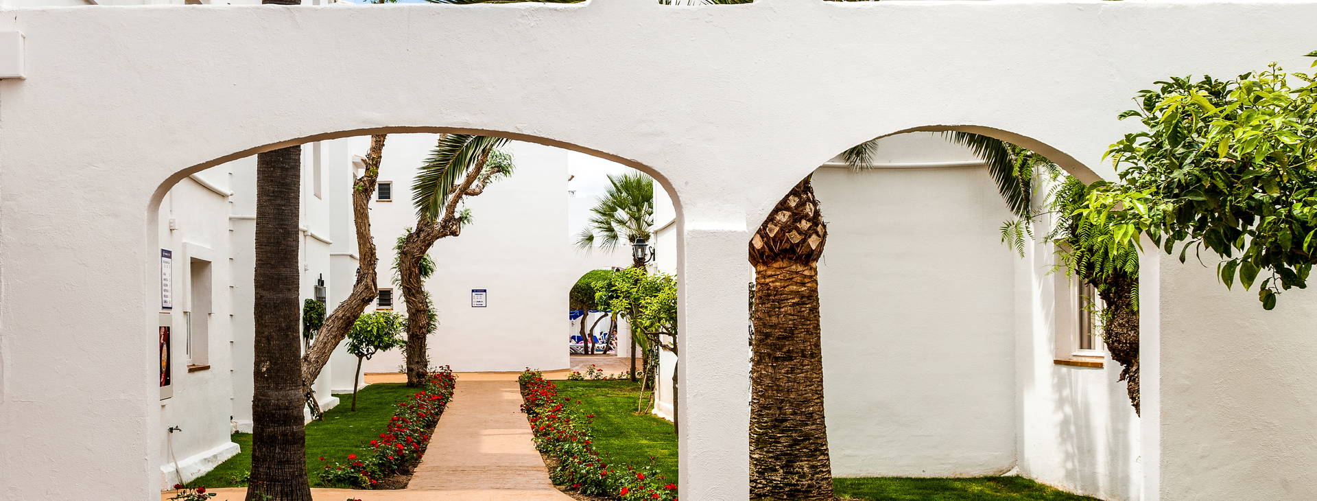 Globales Bouganvilla Obrázok9