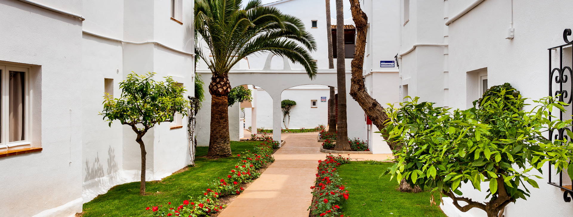 Globales Bouganvilla Obrázok10