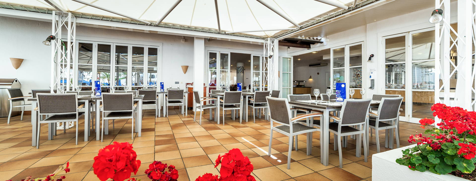 Globales Bouganvilla Obrázok21