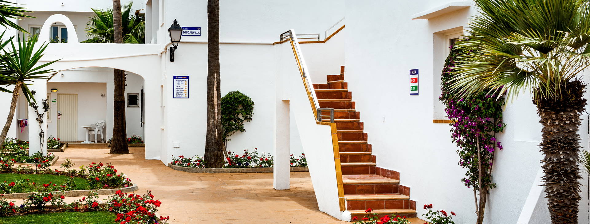 Globales Bouganvilla Obrázok14