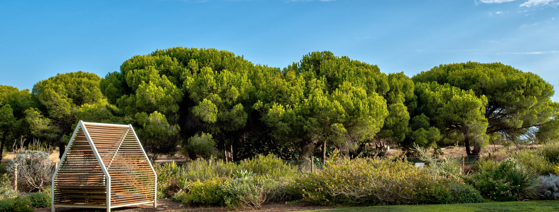 Epic Sana Obrázok25