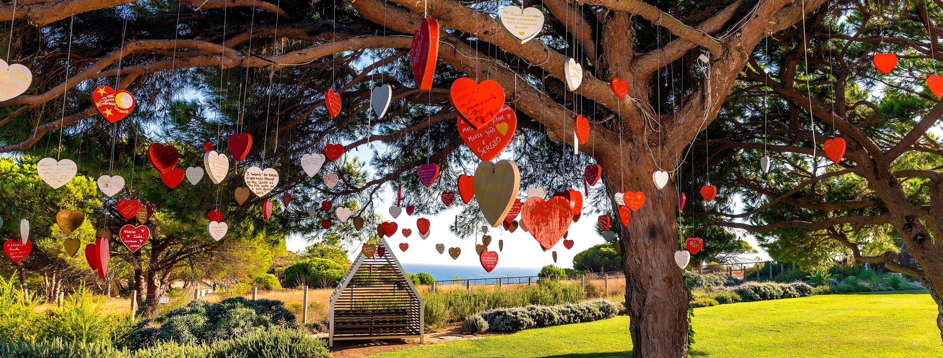 Epic Sana Obrázok34