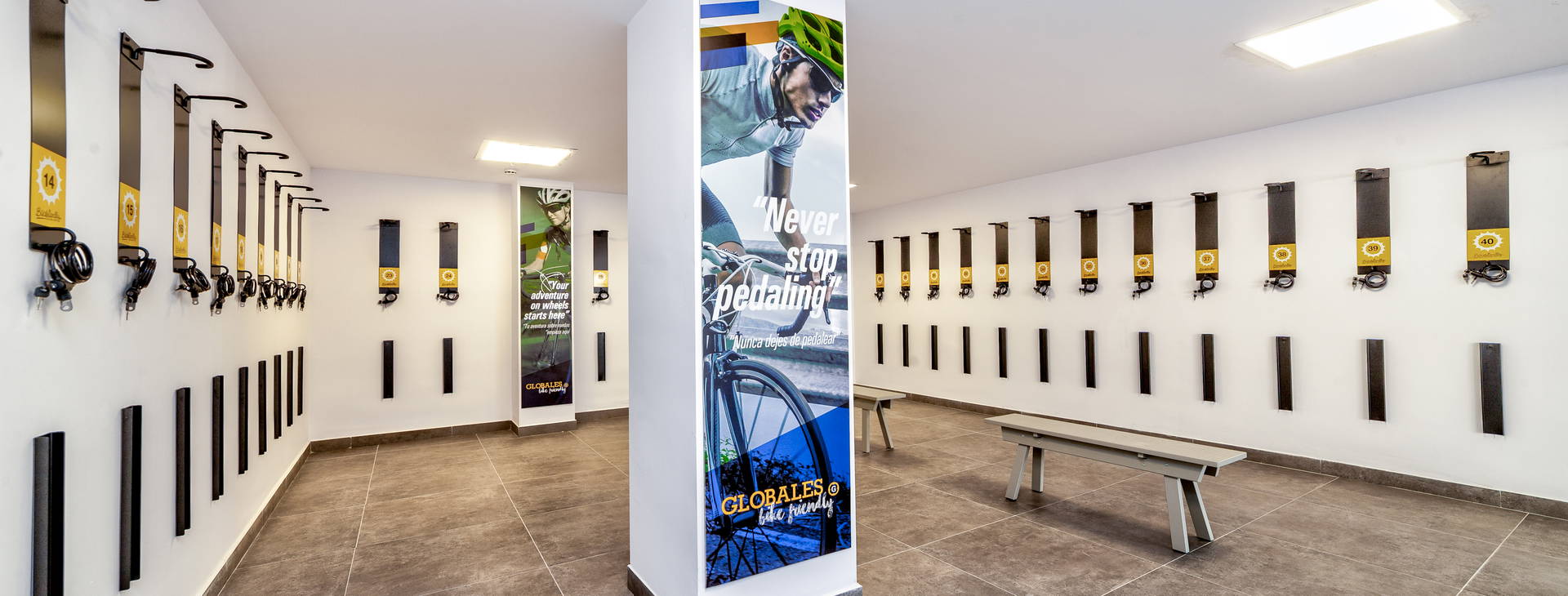 Globales Mimosa Obrázok26