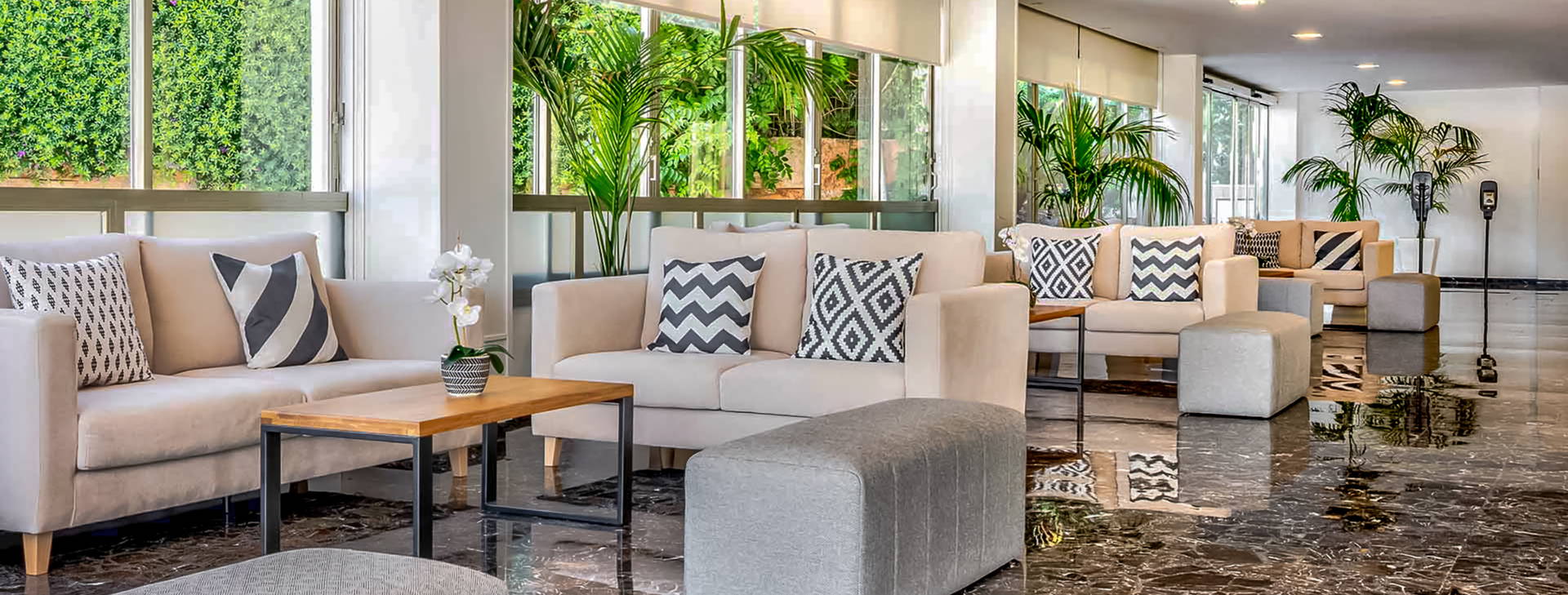 Globales Mimosa Obrázok24