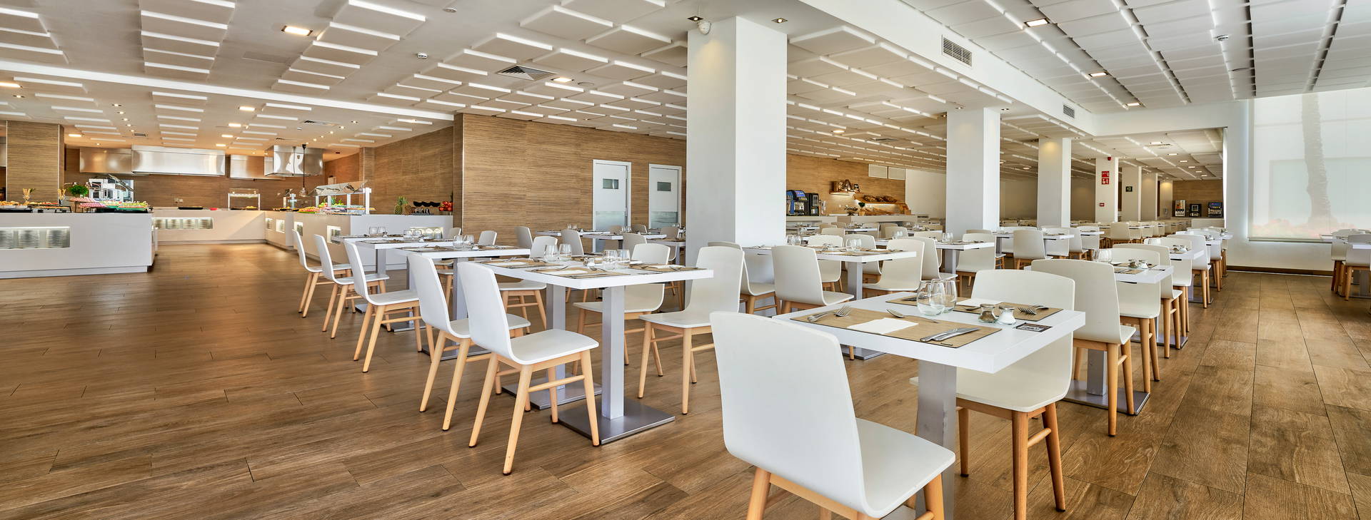 Globales Mimosa Obrázok18