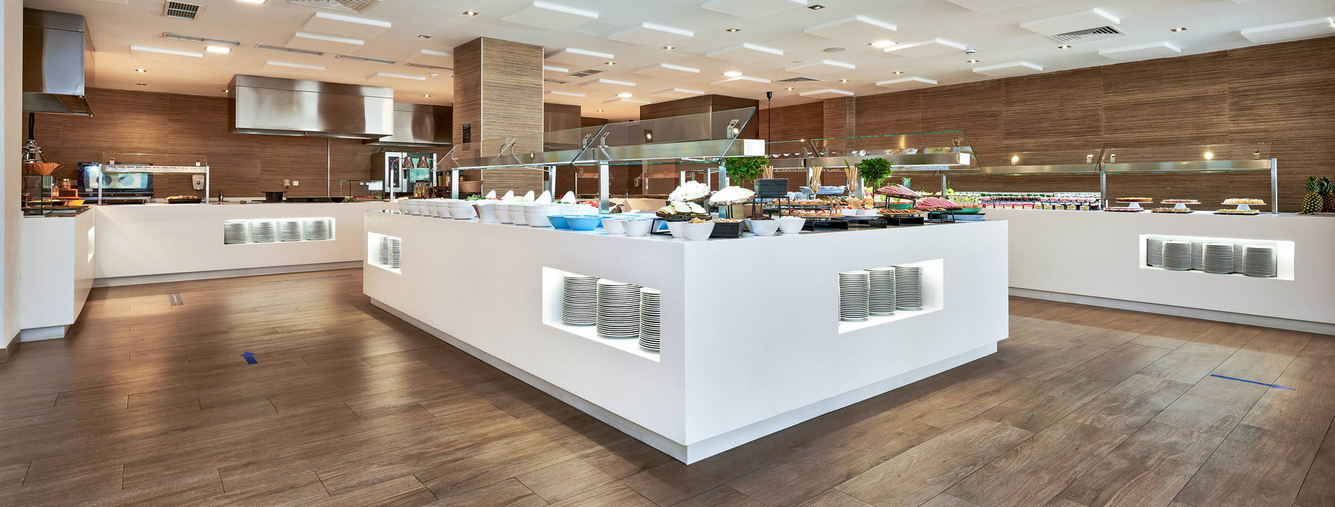 Globales Mimosa Obrázok16