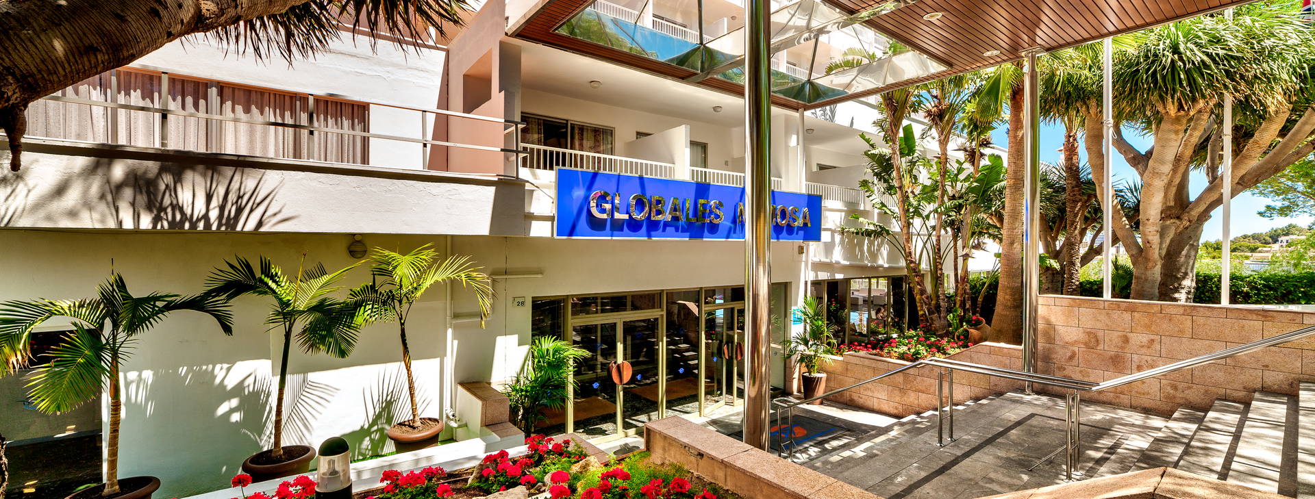 Globales Mimosa Obrázok15