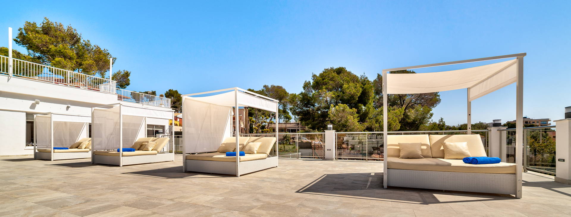 Globales Mimosa Obrázok7