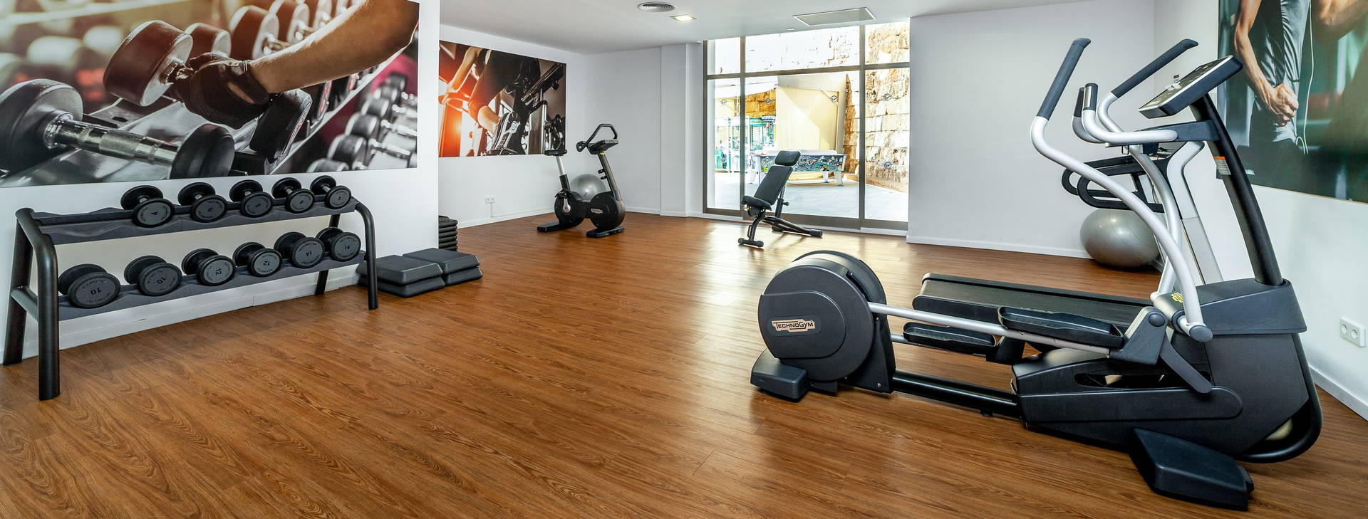 Globales Mimosa Obrázok32