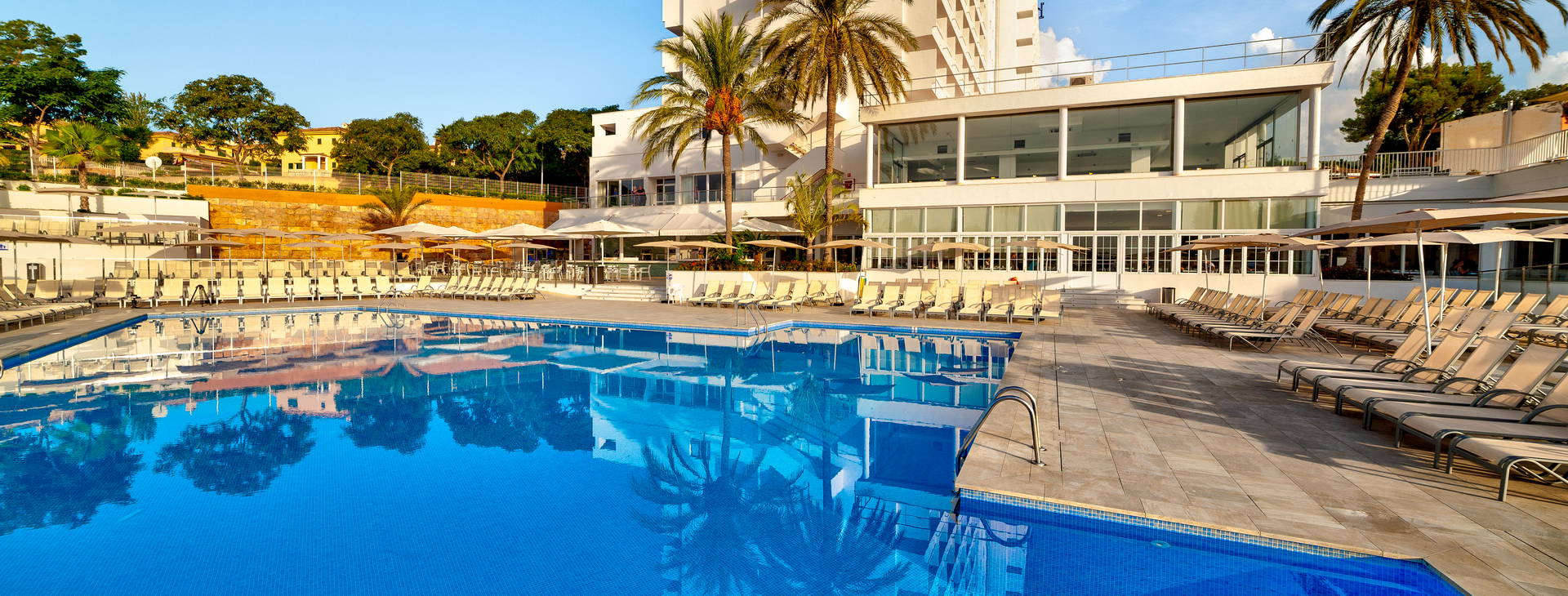 Globales Mimosa Obrázok3