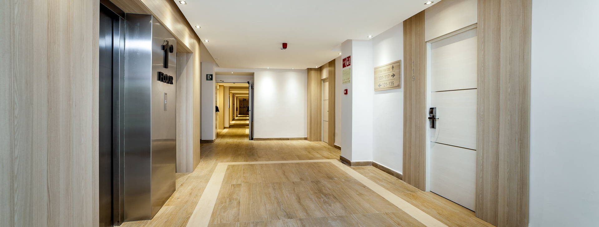 Globales Mimosa Obrázok14