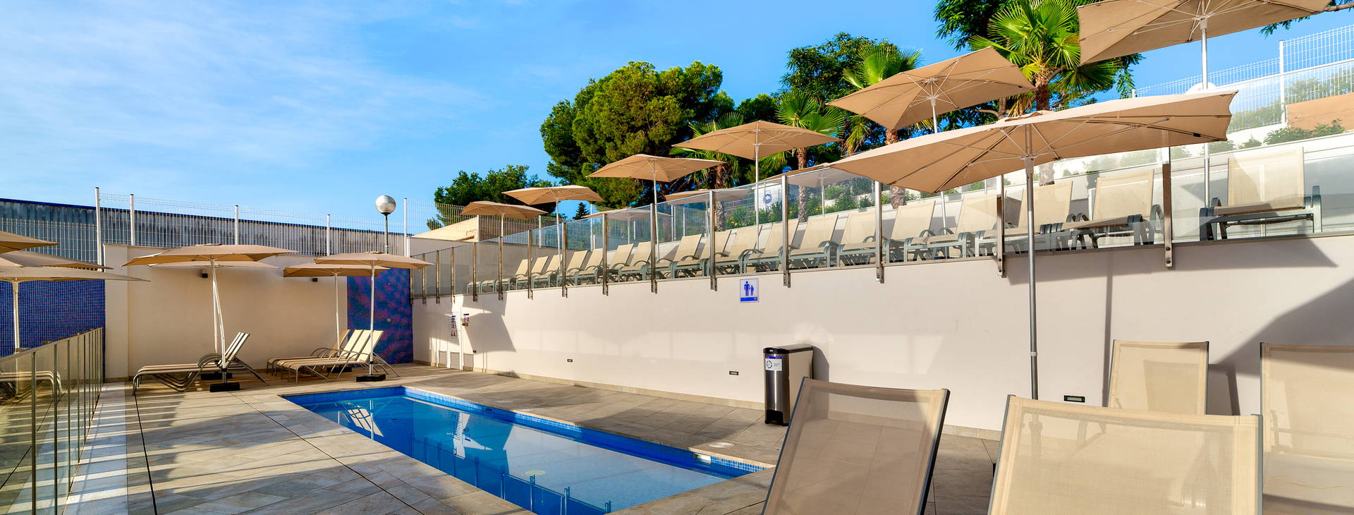 Globales Mimosa Obrázok5