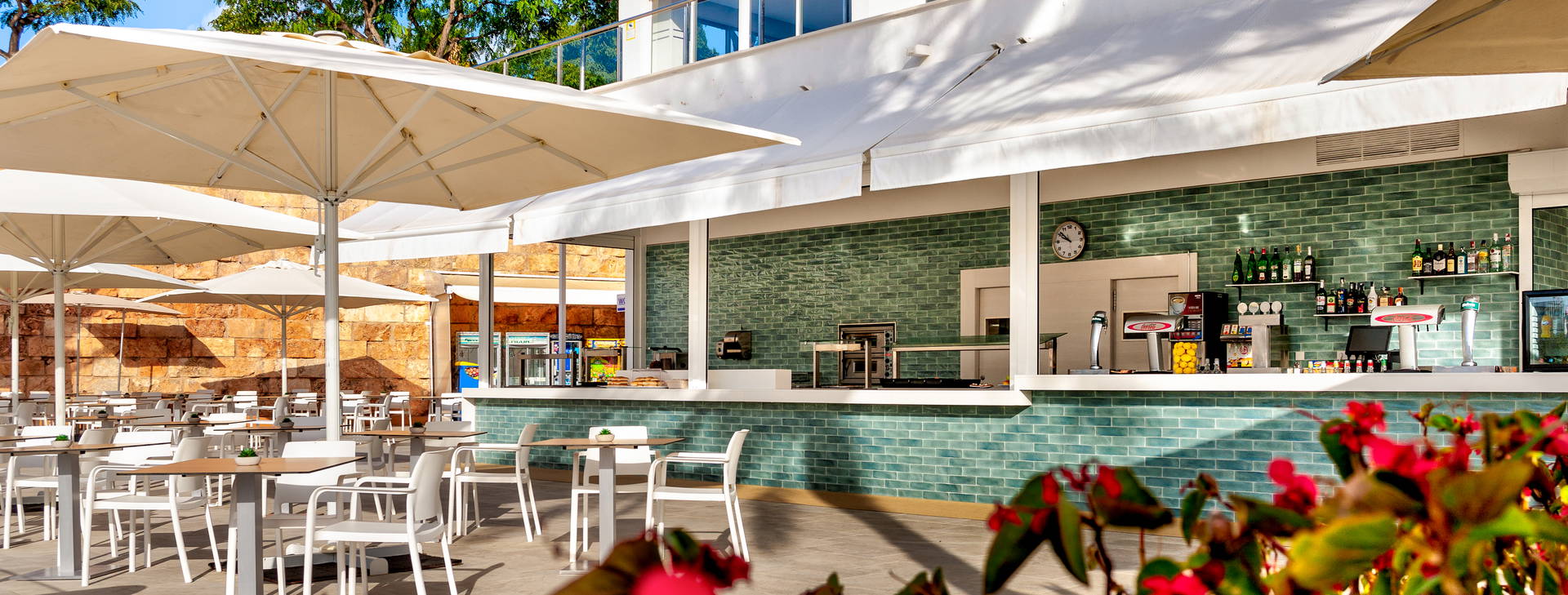 Globales Mimosa Obrázok21