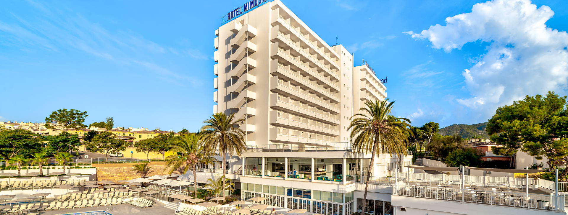 Globales Mimosa Obrázok6