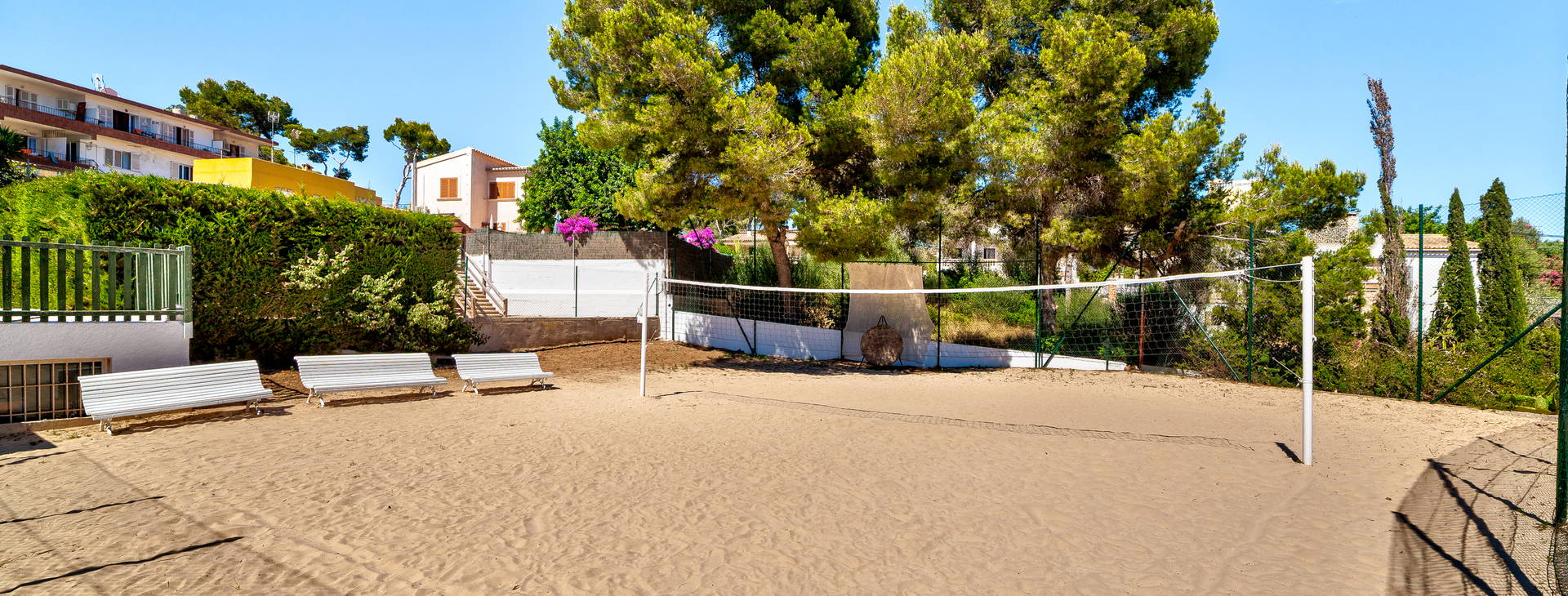 Globales Mimosa Obrázok30