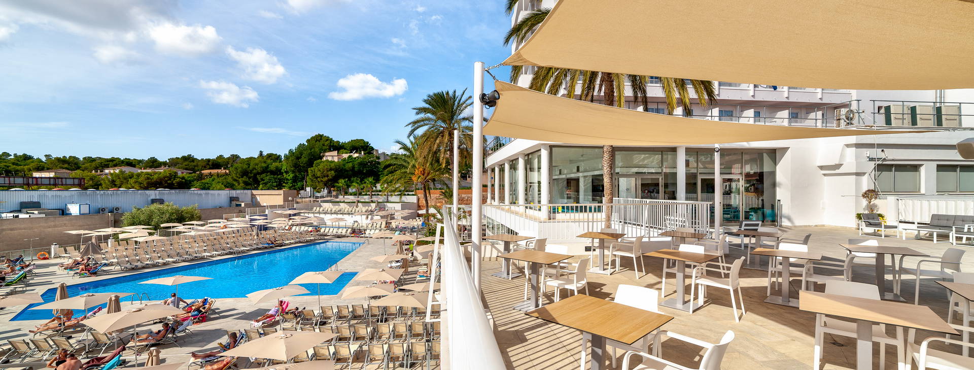 Globales Mimosa Obrázok4