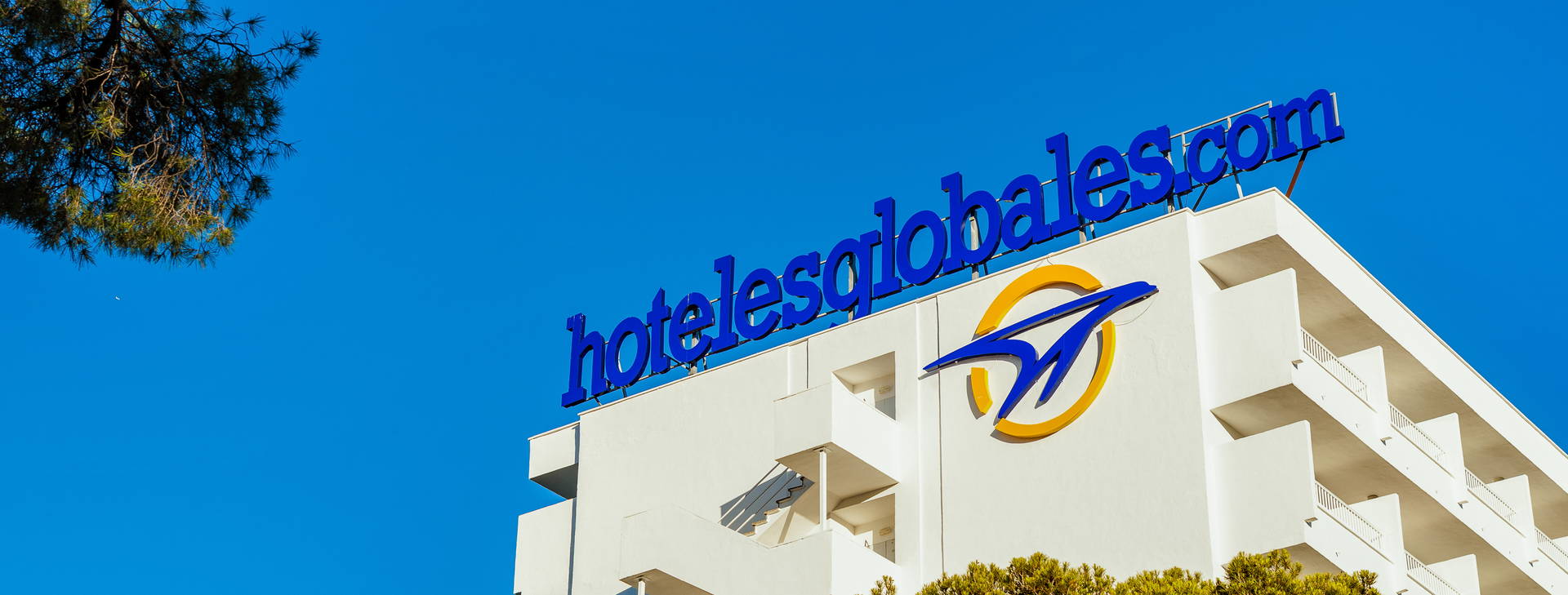 Globales Mimosa Obrázok2