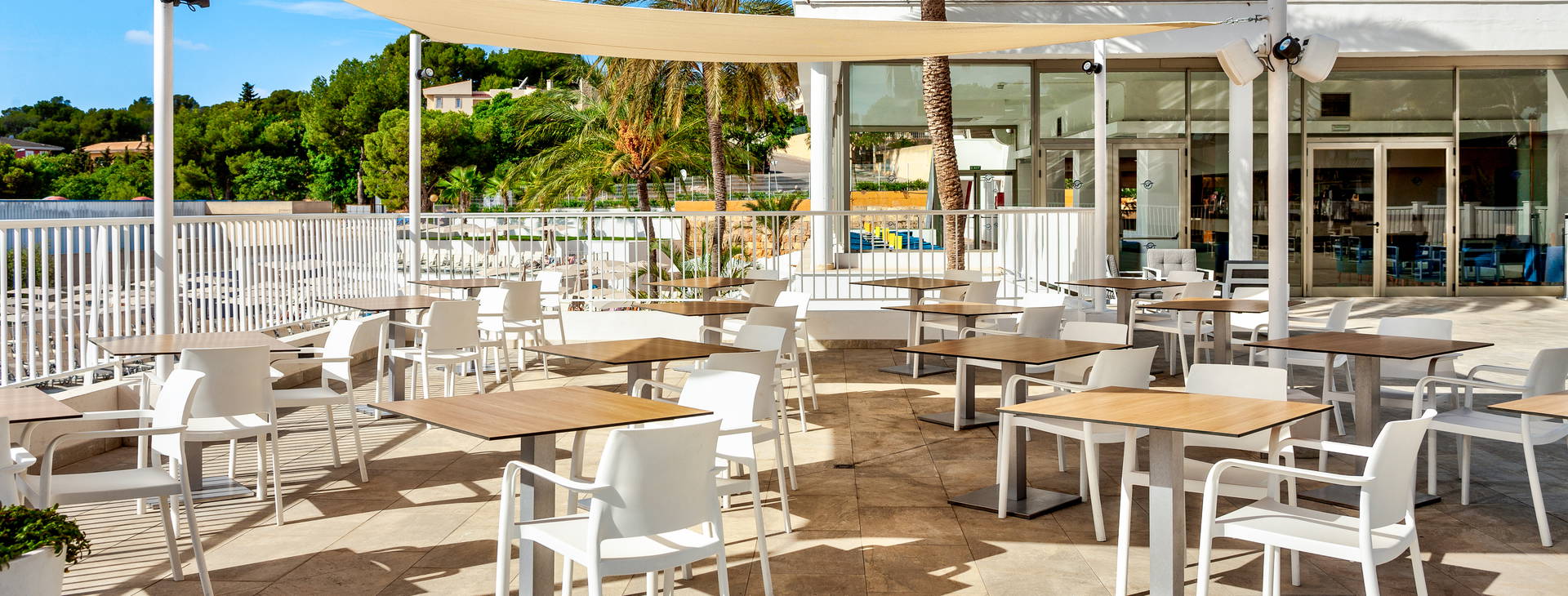 Globales Mimosa Obrázok22