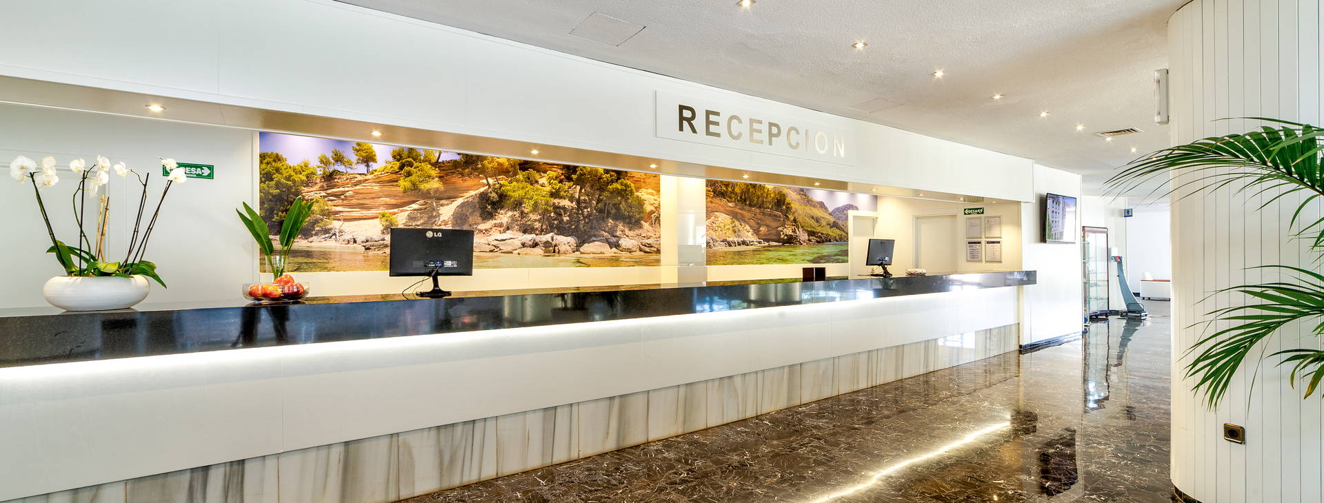 Globales Mimosa Obrázok23